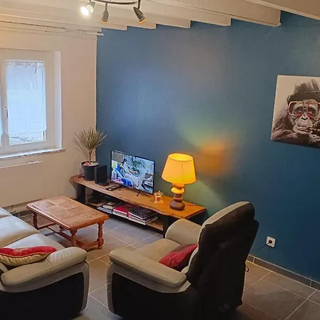 Charmante Maison De Village T3 Renovee Et Son Jardin Feriehus