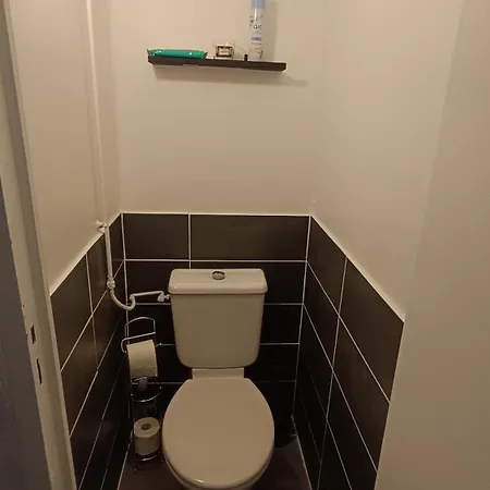 Charmante Maison De Village T3 Renovee Et Son Jardin Feriehus *